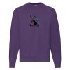Classic 80/20 raglan sweatshirt Thumbnail